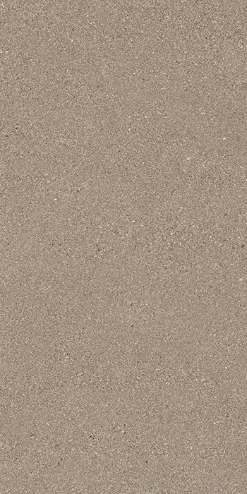 Grainstone Taupe Fine Grain Naturale 60x120